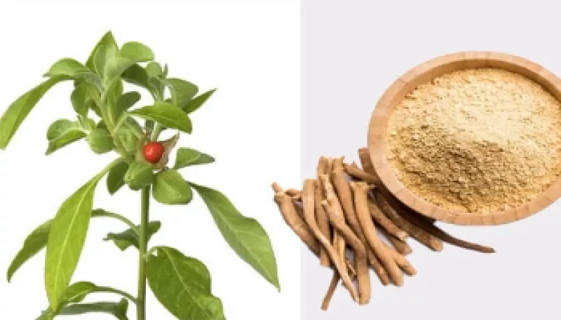 Yirtilgan mushukning fotosuratlari Batafsil jinsiy aloqa fotosuratlar va porno