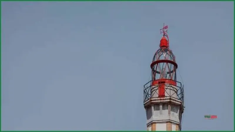 article