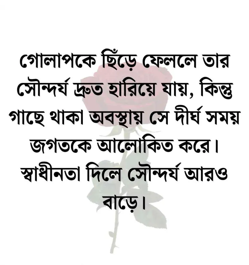article