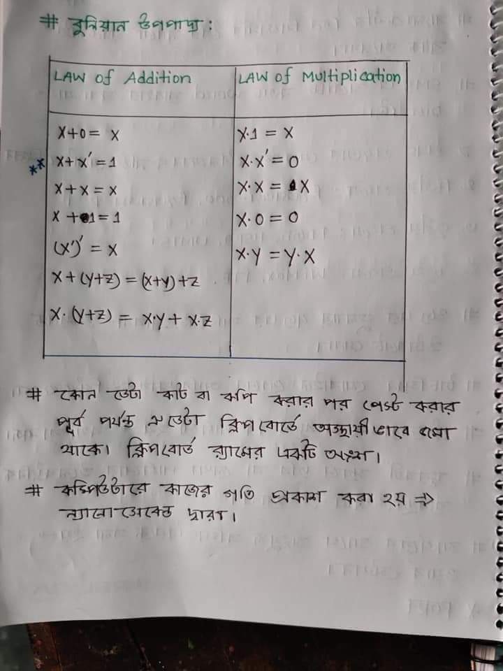 Semiz eshak teshiklarni yoyadi